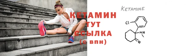 стаф Тавда