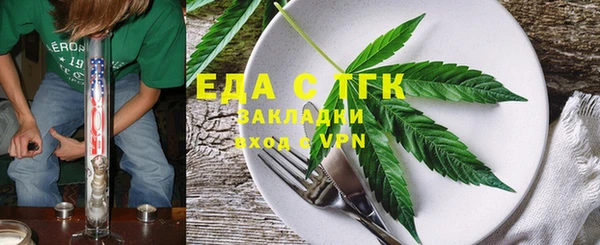 шишки Тайга