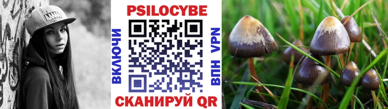 Галлюциногенные грибы GOLDEN TEACHER  как найти закладки  Ершов 